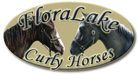 Floralake Curly Horses